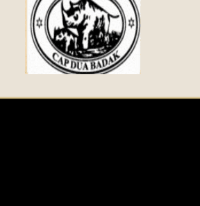 Cap Dua Badak logo