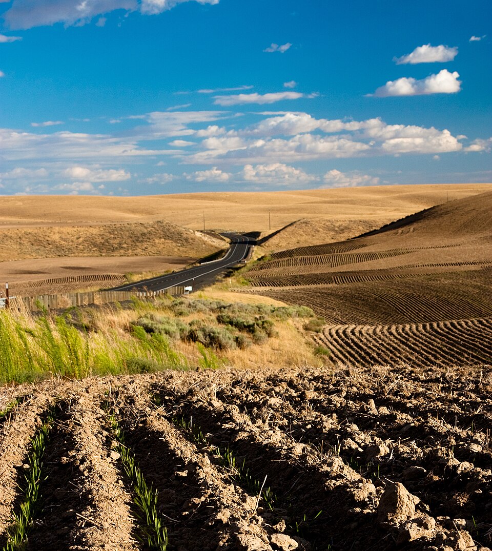 Agriculture operations context — scenario “Agriculture Fertilizer Schedule Assistant” runs as a detached NeuralOps agent.